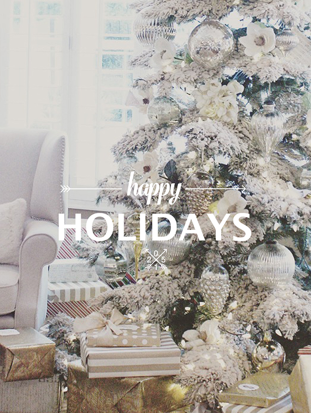 Happy Holidays 2015 Christmas Card Design Overlay