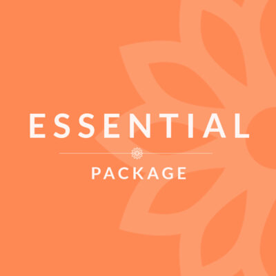 Essential Package - SEO plan